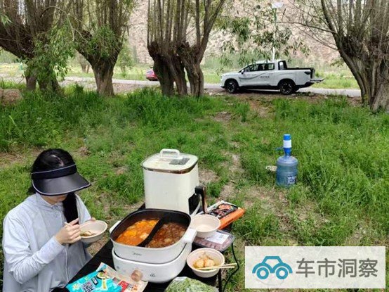纯电平台的启蒙思潮吉利雷达开启皮卡行业颠覆性时代-图16