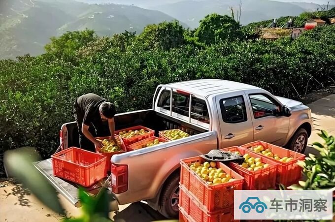 从2023上半年终端销量看解禁政策真能促进皮卡销量吗-图3
