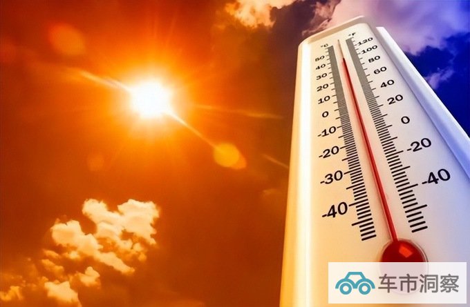 守护湿地  宝马以生物多样性保护助力可持续-图1