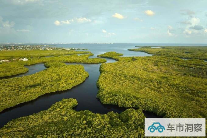 守护湿地  宝马以生物多样性保护助力可持续-图5