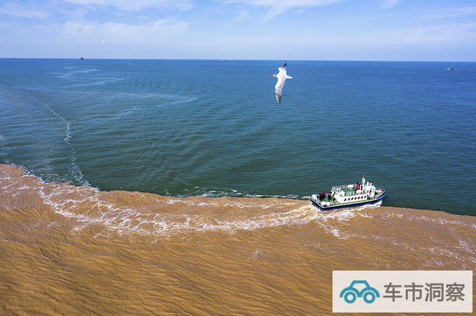 守护湿地  宝马以生物多样性保护助力可持续-图6