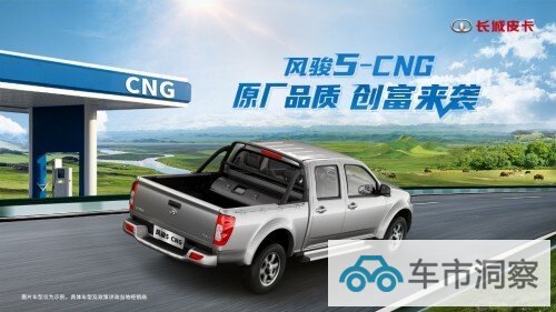 1-6月各省皮卡终端上牌量分析为啥西部地区这么重要-图10