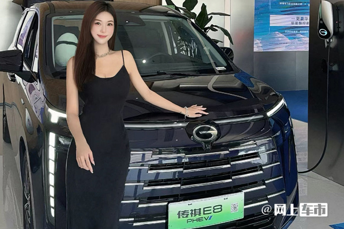 少花X万买油混广汽传祺E8荣耀版售XX.XX万起-图1
